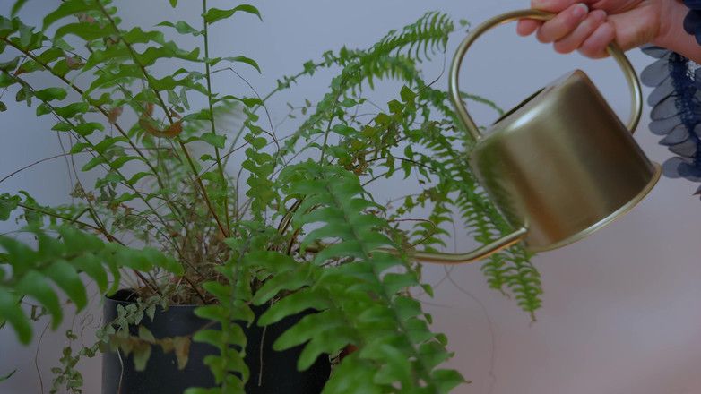 Mrs Wetslavs: Ráno v krajce ... Když slunce láká víc než odpovědnosti.