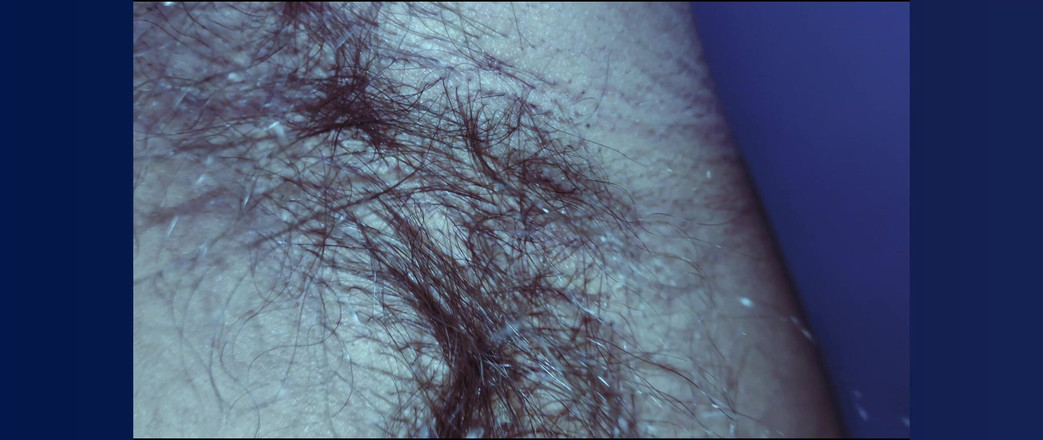 Stink HairyMale: Burtă, subraț și penis