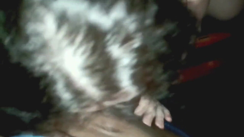 Real homemade BBW BBC porn: YoungEnglish-толстушка с большим черным членом Nata4sex делает минет на улице