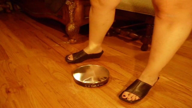 Sexy Amateurz: Cookie Tin menghancurkan