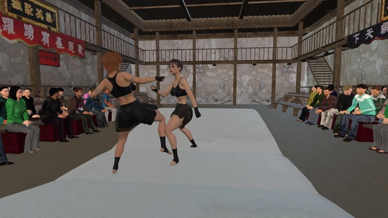 Mature Catfights and Sexfights: 女性搏击运动