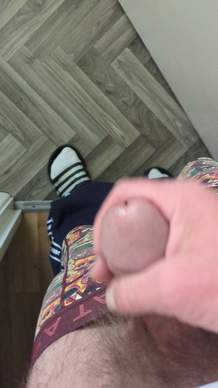 Polishx: 수탉 재미