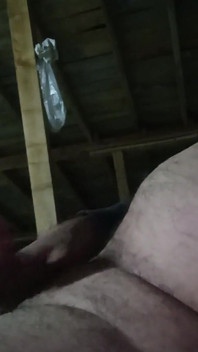 Paternidad se corre en una taza de té