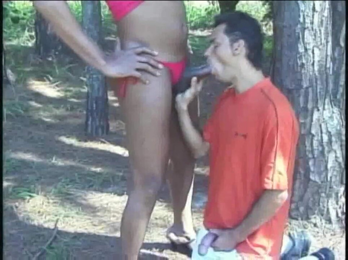 Shemale videos: Cougar ebony shemale šukání latino twink v lese