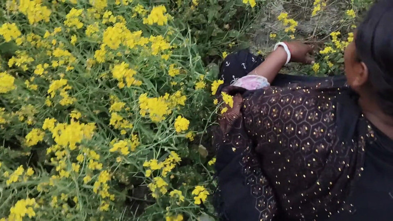 Sexydebart: Took the neighbour's sister-in-law to the mustard field