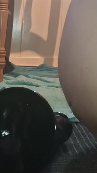 Twink Anal Gaping Huge Buttplug