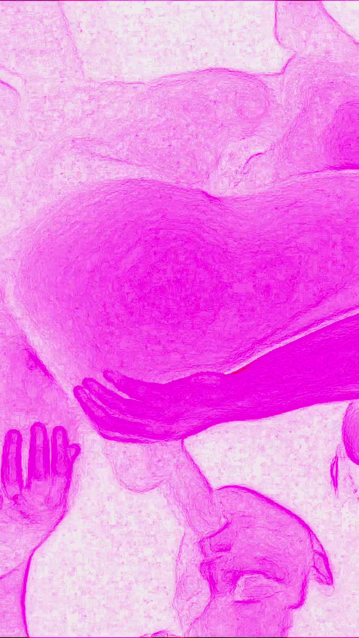 Lily & Theo: Um encontro sexual é sobre alegria, tão intenso e selvagem que é...