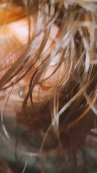 Przyrodni brat i przyrodnia siostra sami w domu ruchają się w tajemnicy