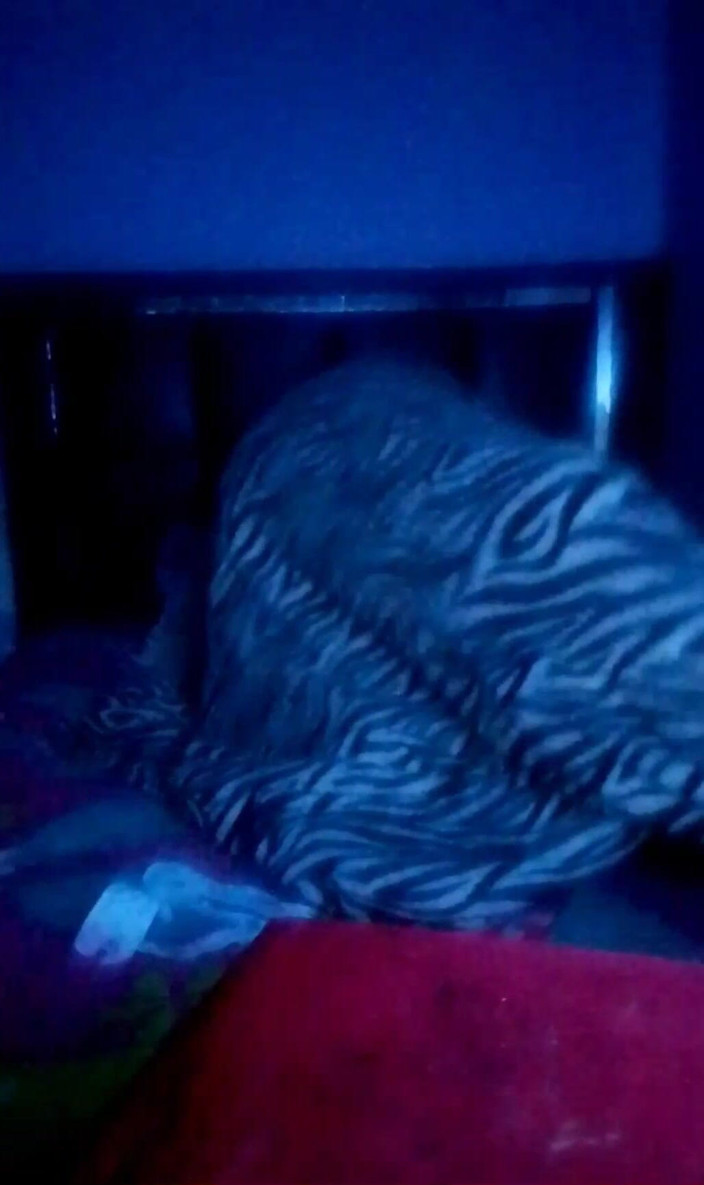 Elpaquik01: Как я шаловлива