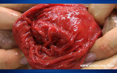 Sindyrose: Sindy Rose šuká její zadek s velkým bílým dongem a výhřezem