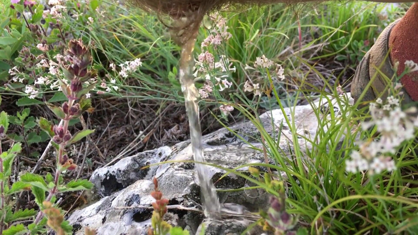 Hairy Pee Outdoor (RiskyHairyCouple)