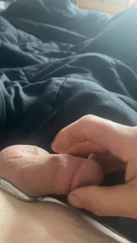 Early Morning Stretches on Cock