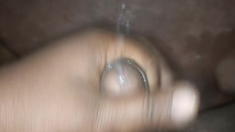 LegalVector8: Мастурбація