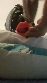 Laura throatfucked with a big lips gag has to swallow a huge load of cum