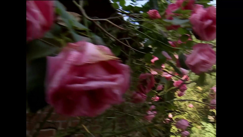 Deutschland Porno X: Outdoor-fick mit heißen mädchen und riesigen schwänzen