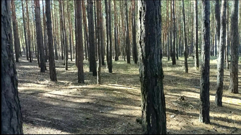 SexyAnka: Sex s nevlastním synem v lese