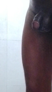 Hot Big Bull