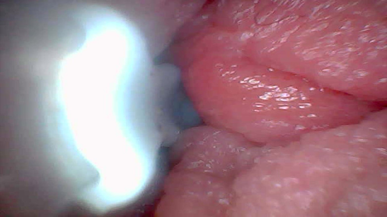 Twittiy: Давай заглюем в мою сочную киску вместе (перед камерой- переделка)