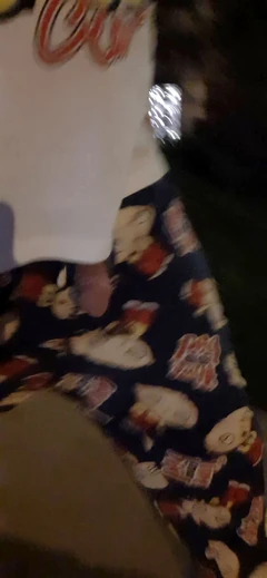 मेरे लंड को शहर में घूमते हुए बाहर निकलने दे रहा हूँ