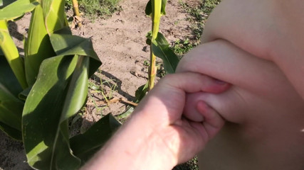 Bouncy Tits Action: Schiaffeggiami nel campo di grano