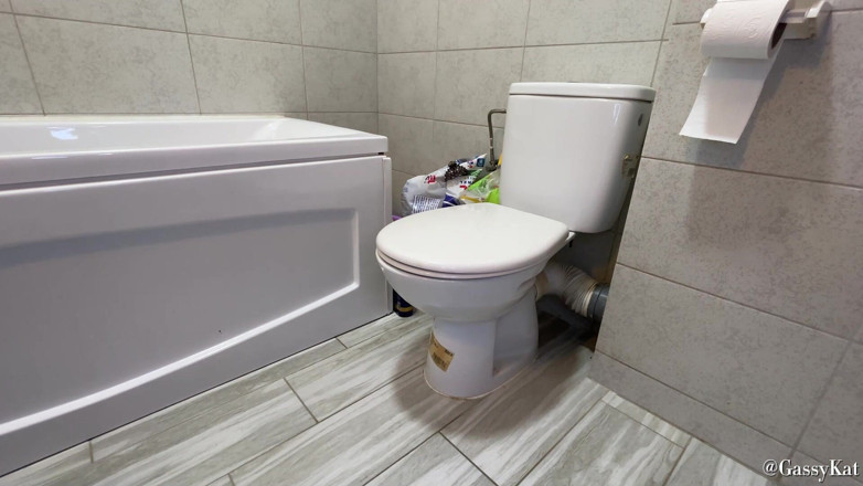 GassyKat: The Daily Toilet Season 2 Ultra Compilation