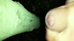 Idmir Sugary: Přidal jsem své sperma na "cestovní cum strom"