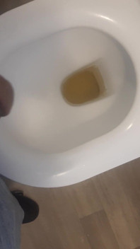 Pissing in Womens Toilet