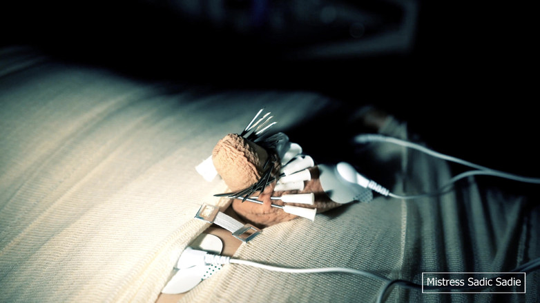 Sadic Sadie: Медична гра з муміфікацією, голками, КПТ та електро-грою.