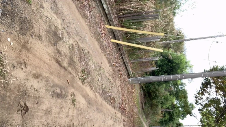 megu2002: 教练NO17 Bread 灌肠行走指导