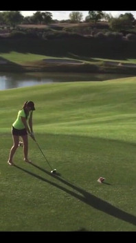 Sempre un work in Progress