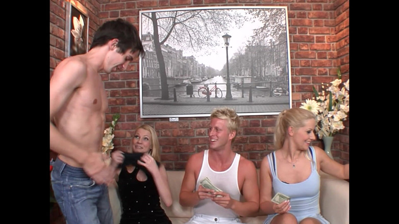 Bisexual Illusion: Bisexuals in a Friend's House