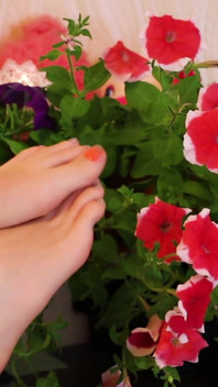 Flowers and Feet