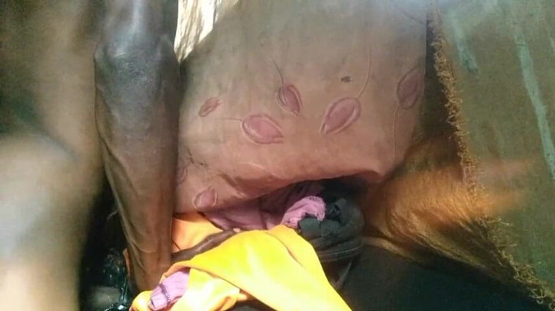 Bangcum8: Boy Fuck Free Pussy and Cum Very Good