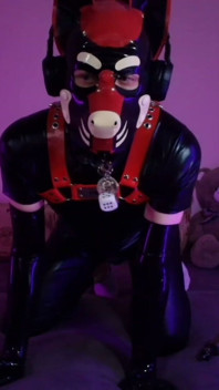 Goodboy's Tease Ignites Ravenous Puppy Play