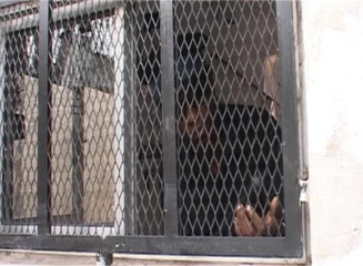 Chicks with Dix: Erstaunliches blondes transen-schlampen-schwanzreiten