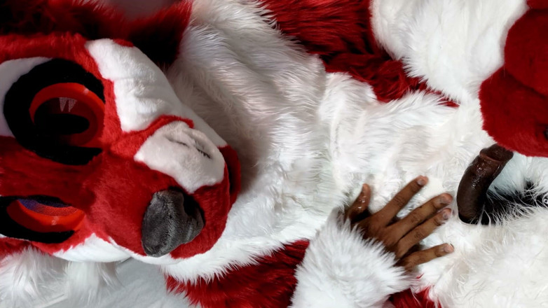 PawgrammerSocks: Furry in Full-body Fursuit Pisses on You, Then Cums Over...