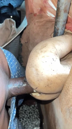 Xnxx video nóng bỏng