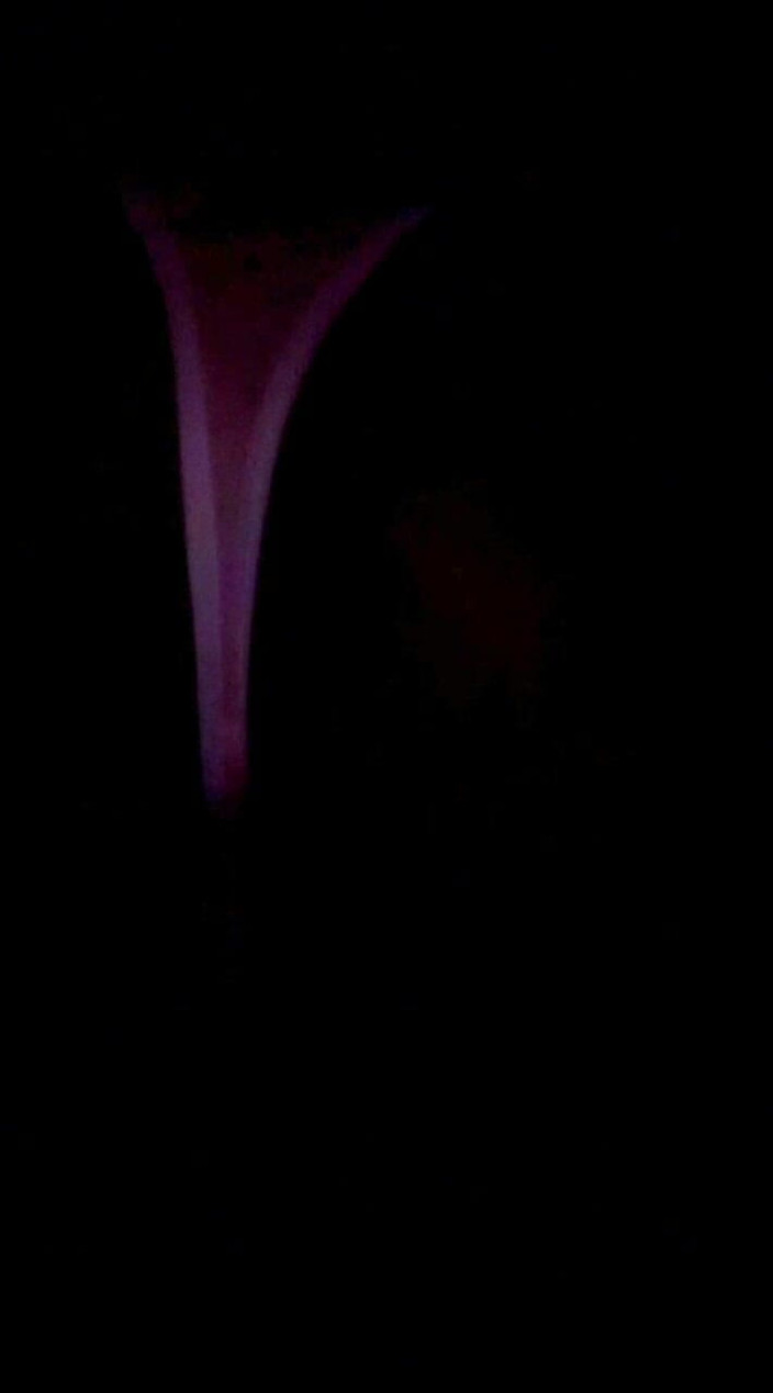 Dorelviss: Baisée dans le cul d’une fille en vêtements de sport