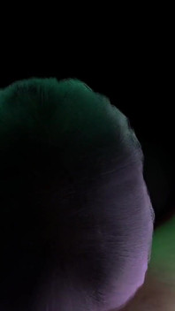 Gadis ini lagi bugil dan nyepong kontolmu: bokep 3d pov