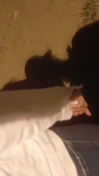 大きな胸の裕福な友人とのアフターパーティーセックス