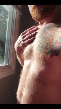 The Morning Sunlight