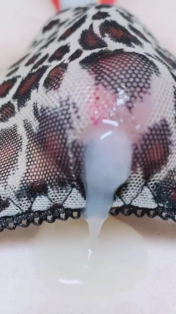 eggnog: Lanzamiento de Close-Up 2 Essence_#5