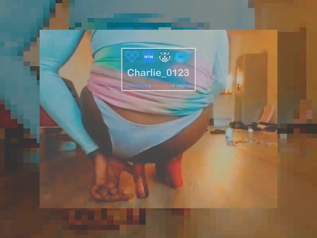 Charlie-0123: 30 сантиметров, большой челенж
