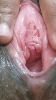 털이 무성한 보지의 통통한 곡선과 큰 엉덩이