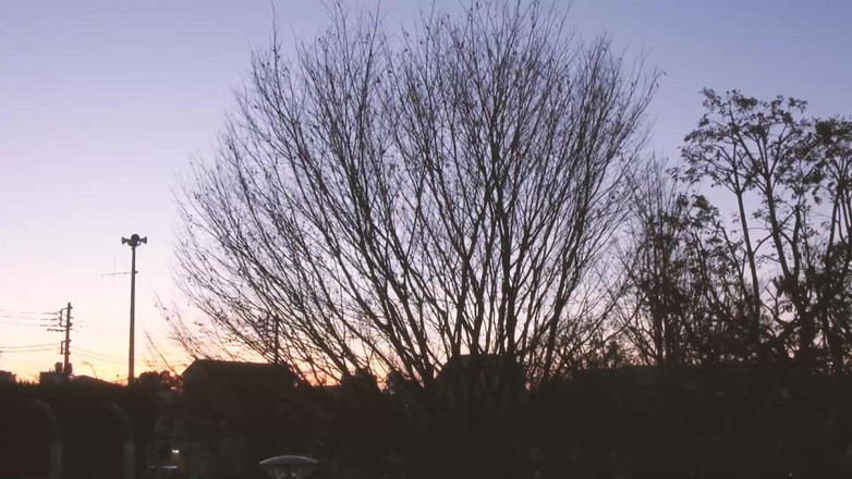 JAPAN IN LOVE: Rising Sun Frumuseți Scena-4 japoneză sexy țâțoasă care face sex în ciorapi...