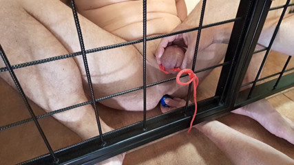 Master Drex: Tied by balls