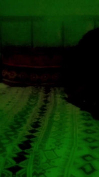 Bulan madu India pasangan seksi di bilik hotel La Nivas Nainital