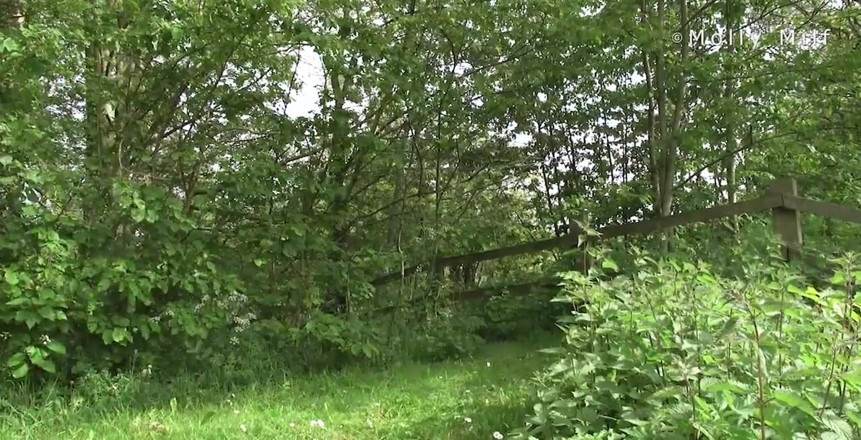 Molly MILF: Crazy Lesbian Outdoor Sex