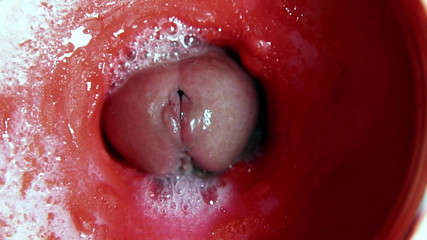 SEXY_GUYBEST: 最美丽的内部高潮特写！Asmr大射精！