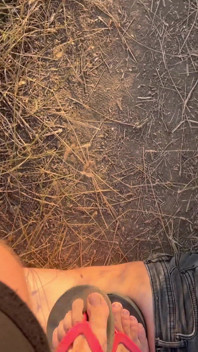 Forest Flesh Carpet: Memijak Perut & Penyerahan Keseluruhan